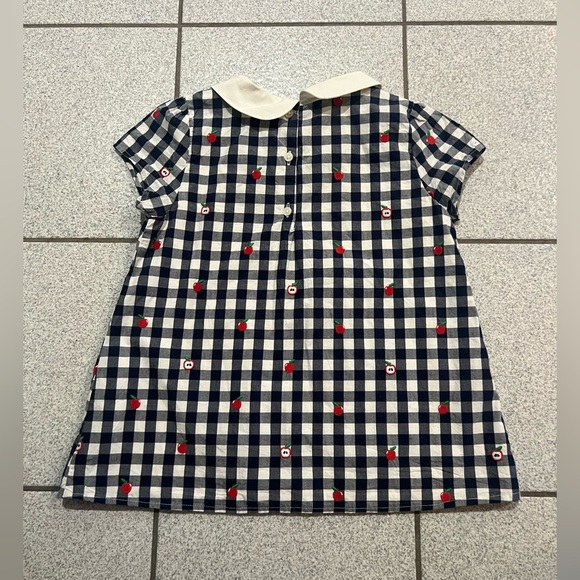 GYMBOREE Girls Gingham Apple Peter Pan checkered Top/size 12 - Picture 4 of 10